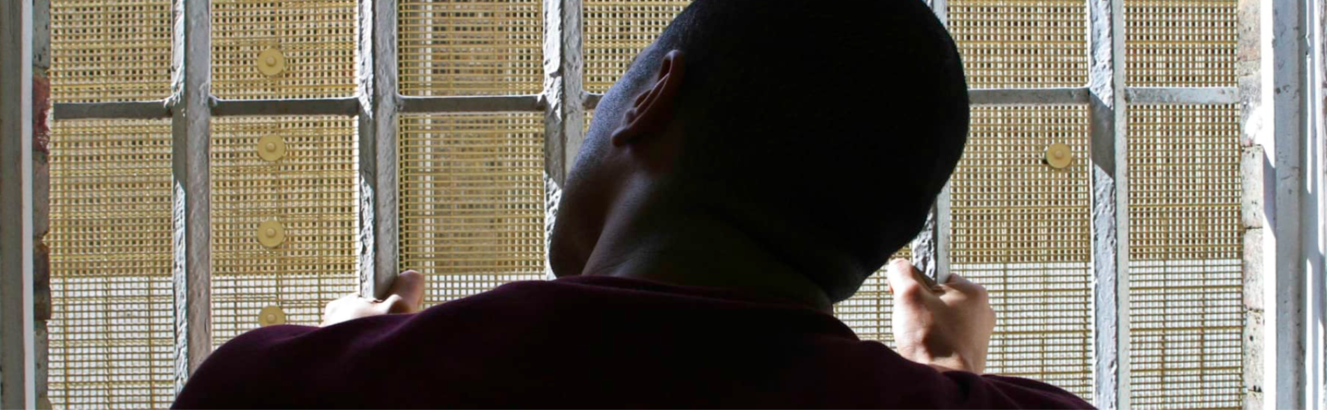 Mental Health in Prisons